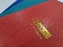 20250530_150233.webp